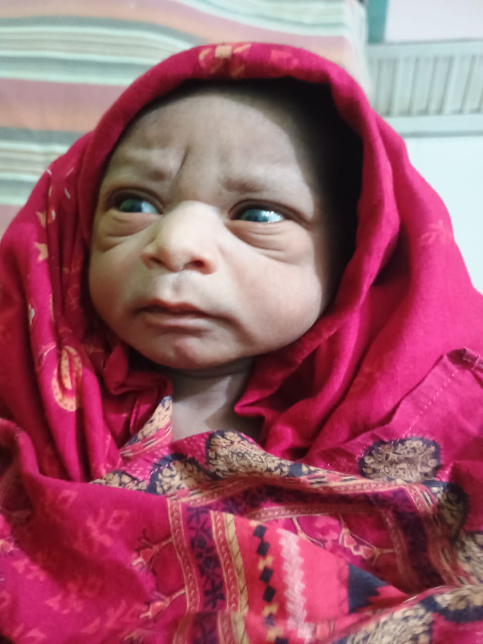 বাবুর স্মৃতি